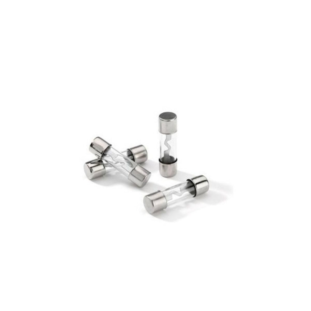 Cerwin Vega CFAGU100 AGU Fuse 100A (4 Pack)